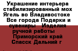 Украшение интерьера стабилизированный мох Ягель во Владивостоке - Все города Подарки и сувениры » Изделия ручной работы   . Приморский край,Спасск-Дальний г.